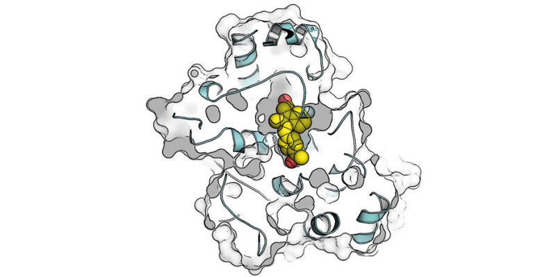 Symbolic image: An active substance binds to its cellular target structure. 